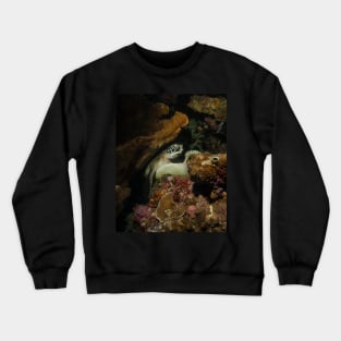 A Green Turtle Snoozes on the Reef Crewneck Sweatshirt